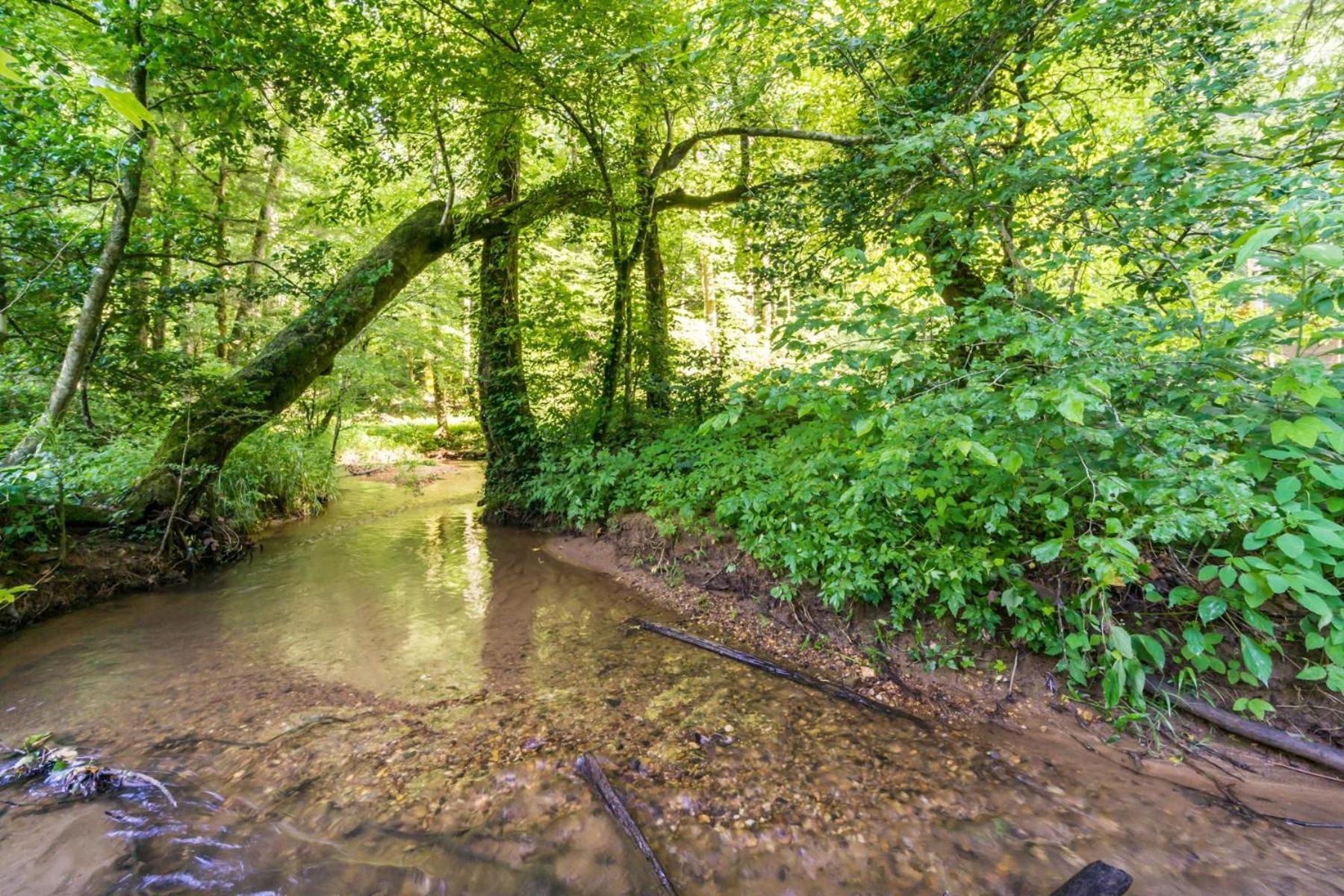 达洛尼加New Listing! Wine Country Retreat - 2 Bed, Hot Tub别墅 外观 照片